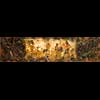 Le Royaume de Nefertiti, 30x120 cm, Mixed media on wood